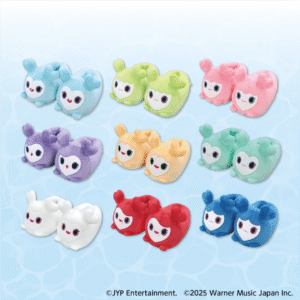 TWICE - LOVELYS X GIGO SLIPPERS