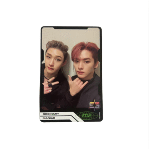 Stray Kids - Unit "Oddinary"