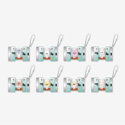 STRAY KIDS - SKZOO CAPSULE ACRYLIC KEYRING